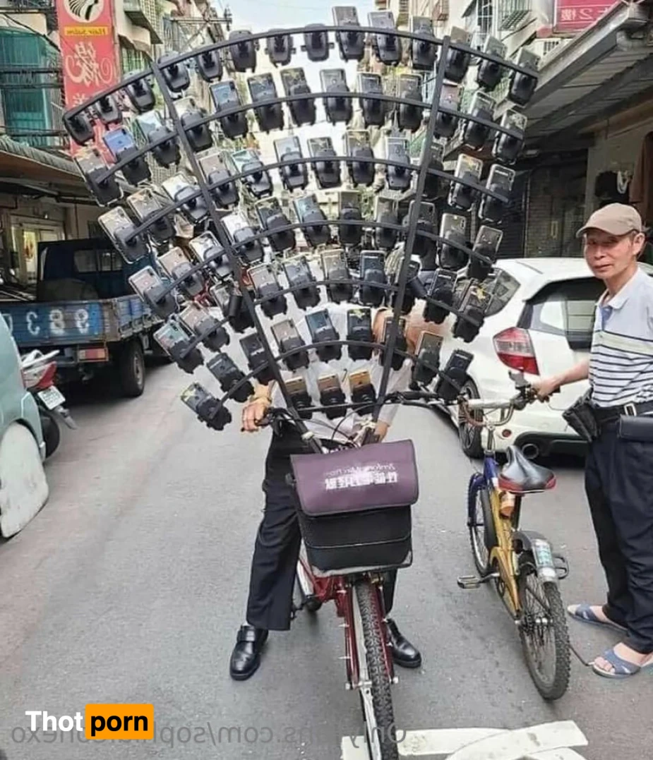 ѕσρнια ℓєσηє 15751023