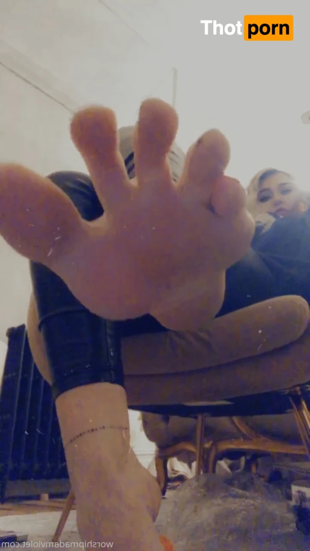 Madam Violet 16064792