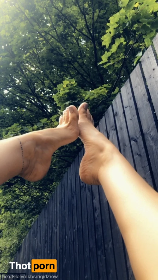 Madam Violet 16080392