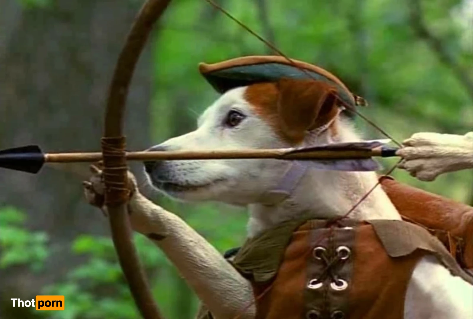 swordgirlfrend 15405008