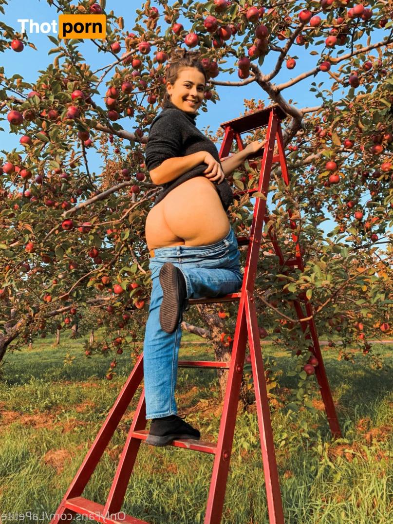 lexie ☽⋆. :･ﾟ 15944939