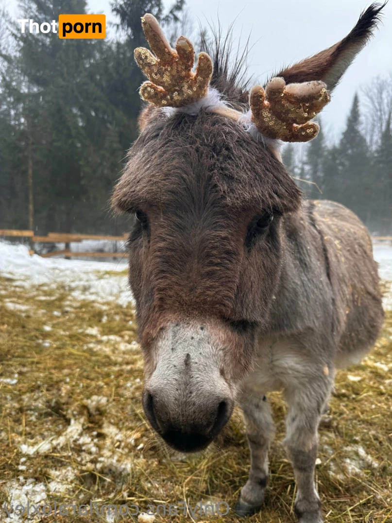 Lara Loxley 12866913