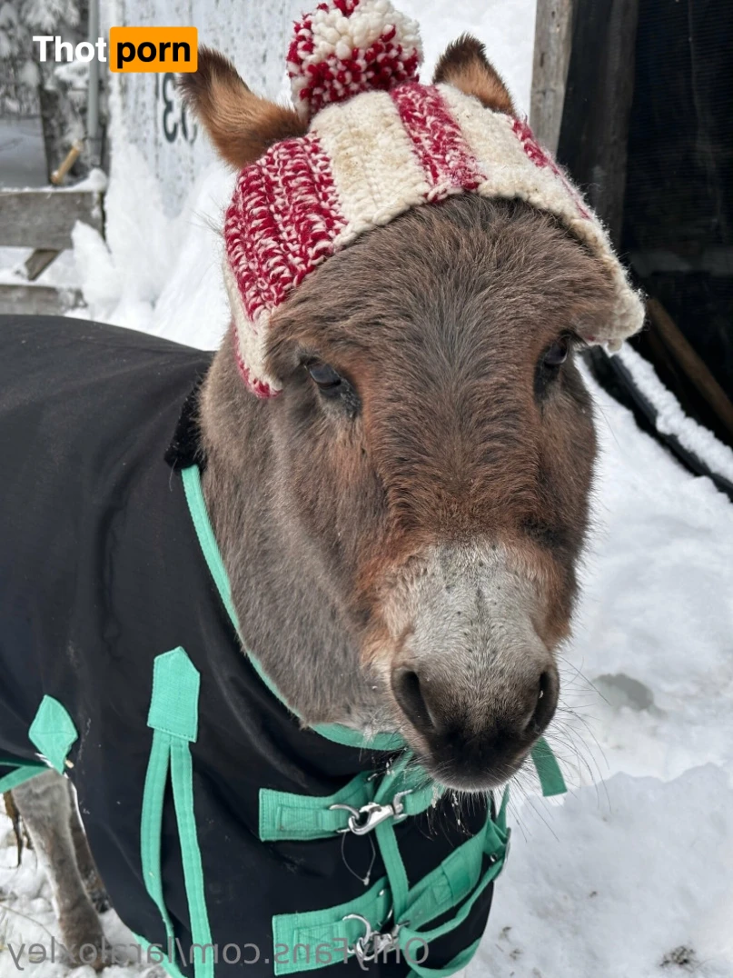 Lara Loxley 12893098