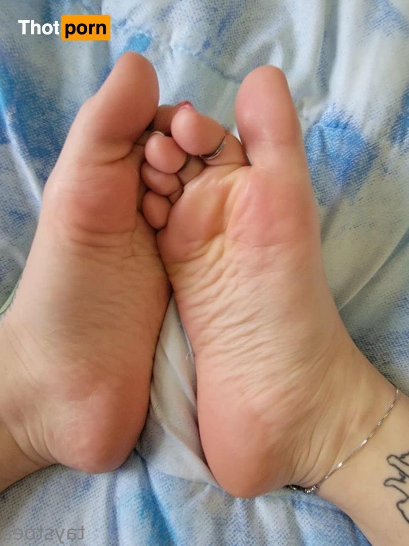 taystoes 🌙 VIP 14322507