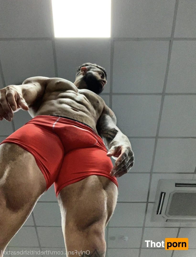 thebritishbeastxxl 11959365