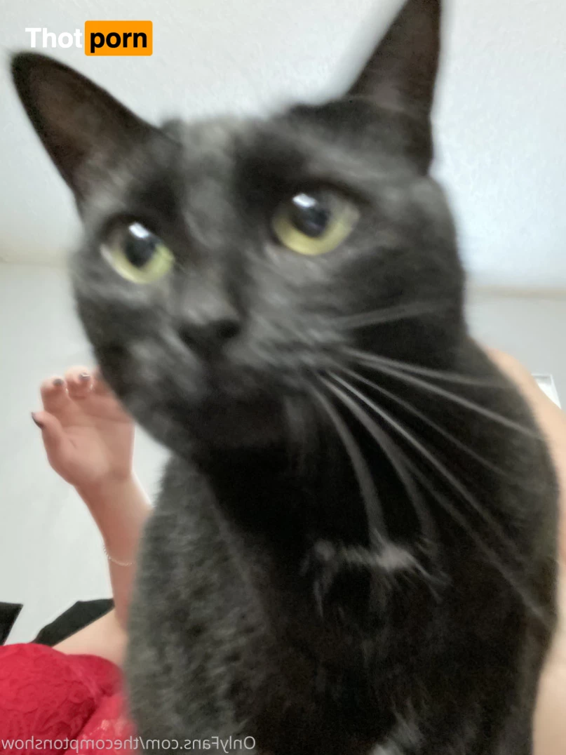 Alex Arabella  (ﾉ◕ヮ◕)ﾉ*:･ﾟ✧ 8868293