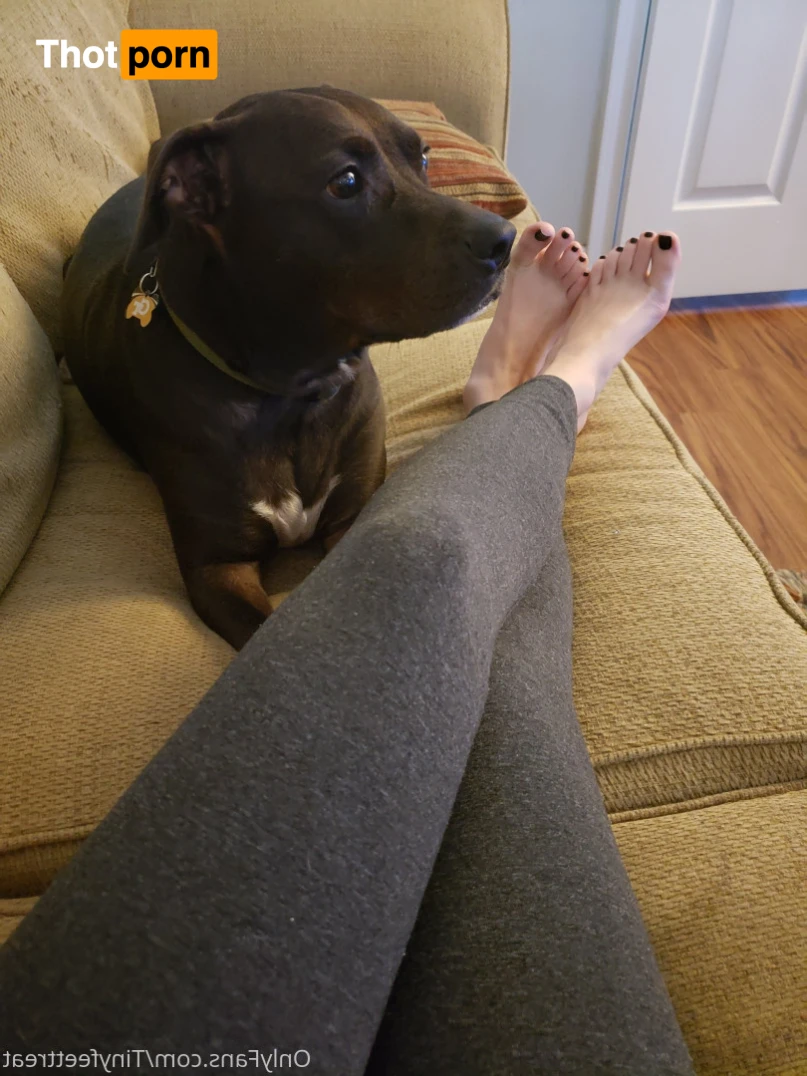 TinyFeetTreat 15027443