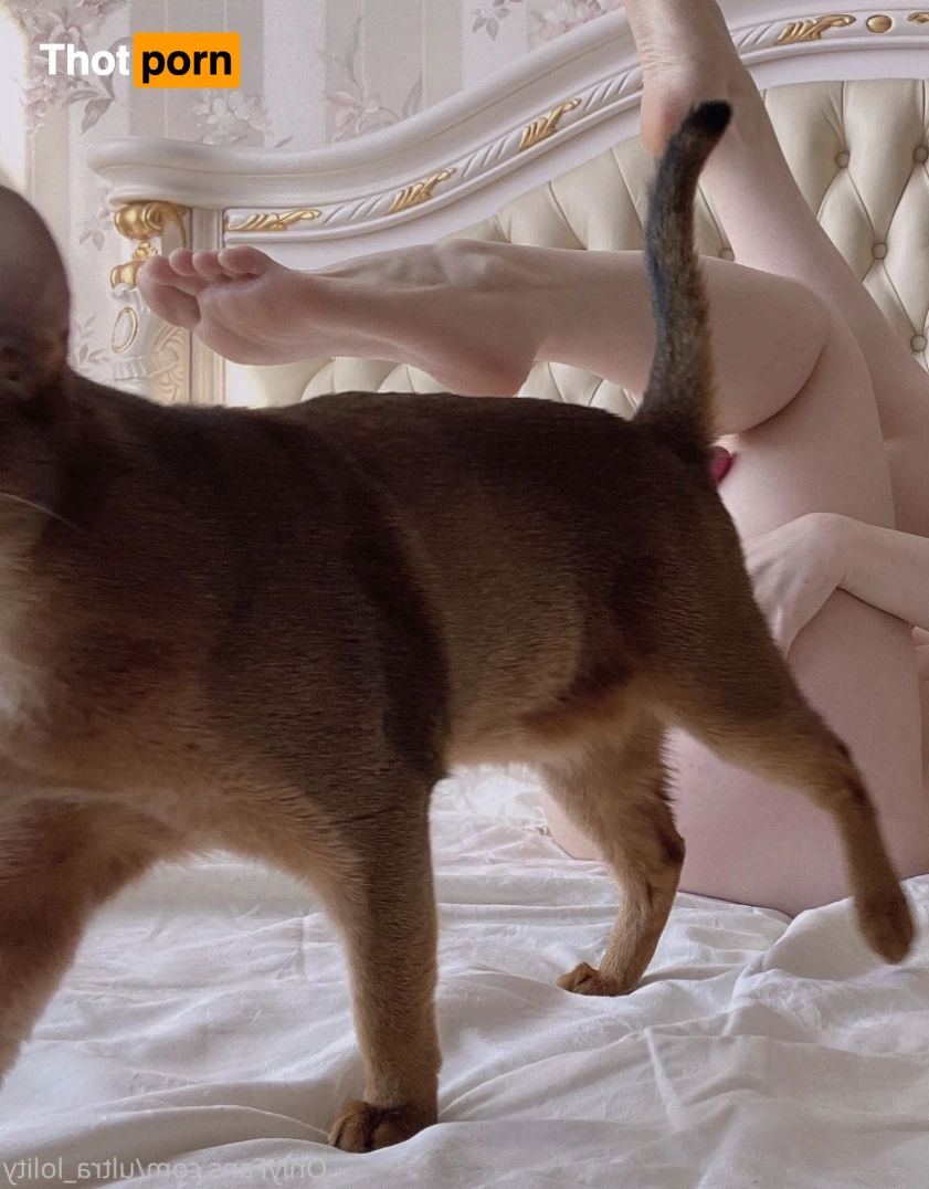 ♡ Alice ♡ 15938791