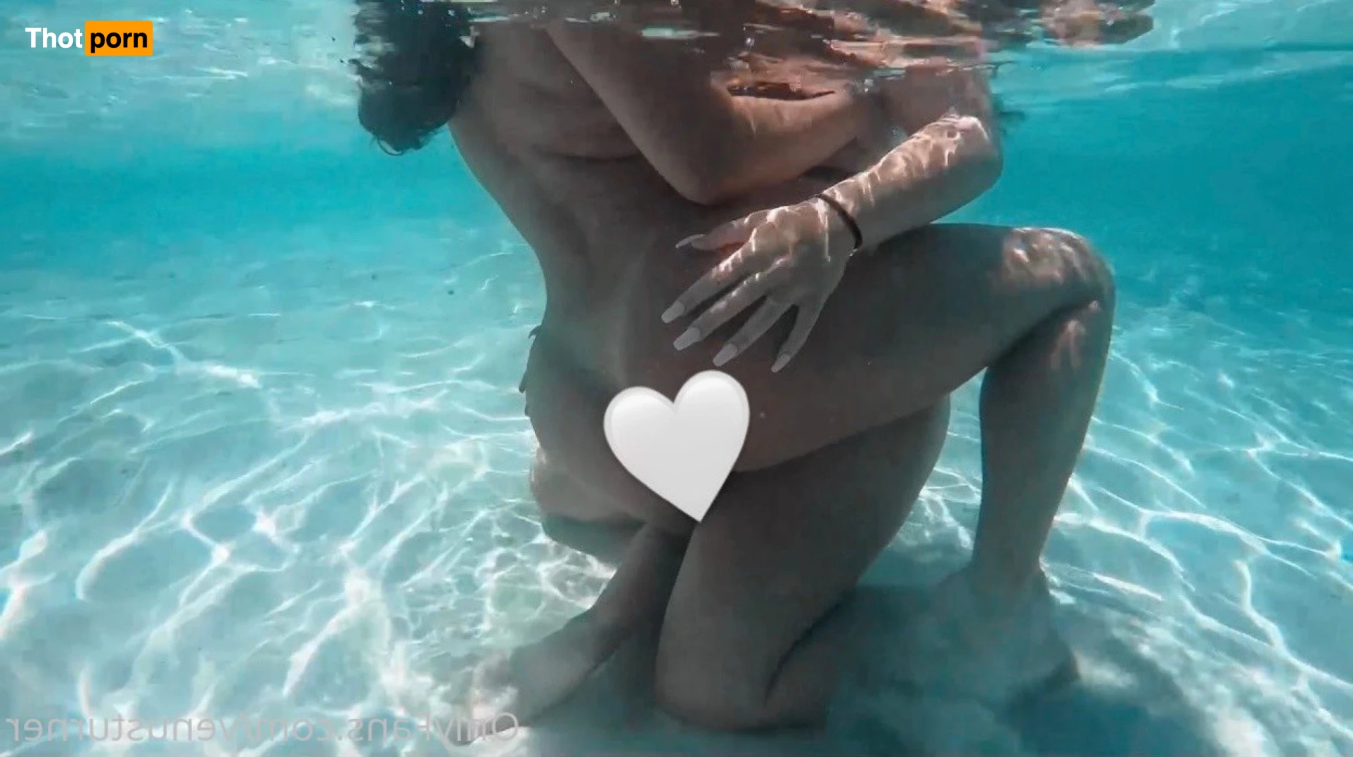 venusturner 14814440