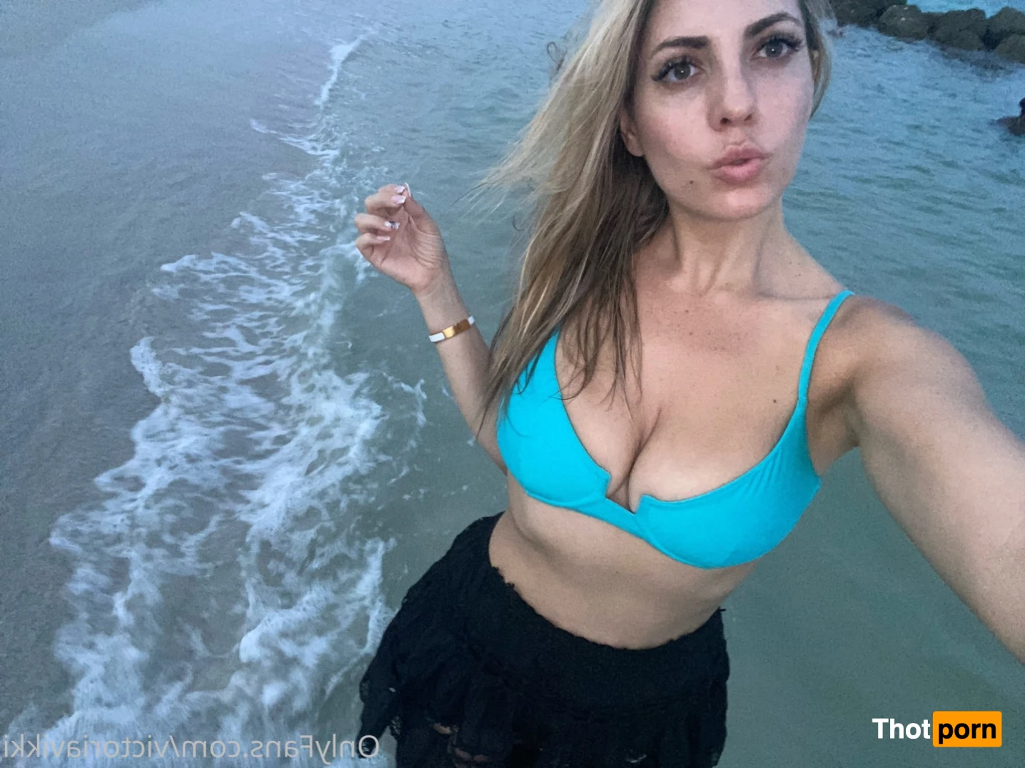 victoriavikki 14530001