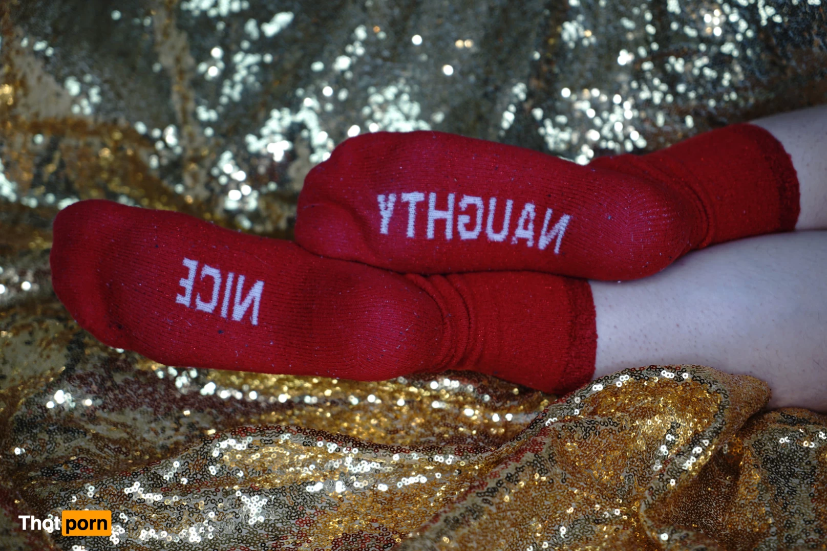 Whit Maxwell 10214579