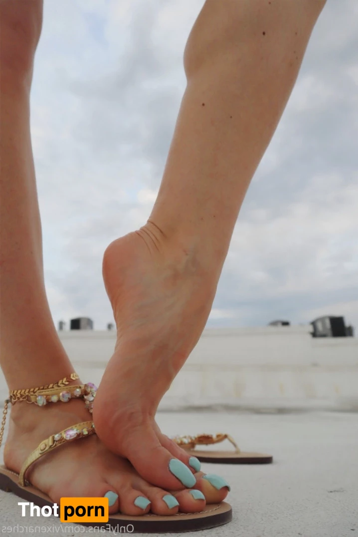 Vixen Arches 9013957