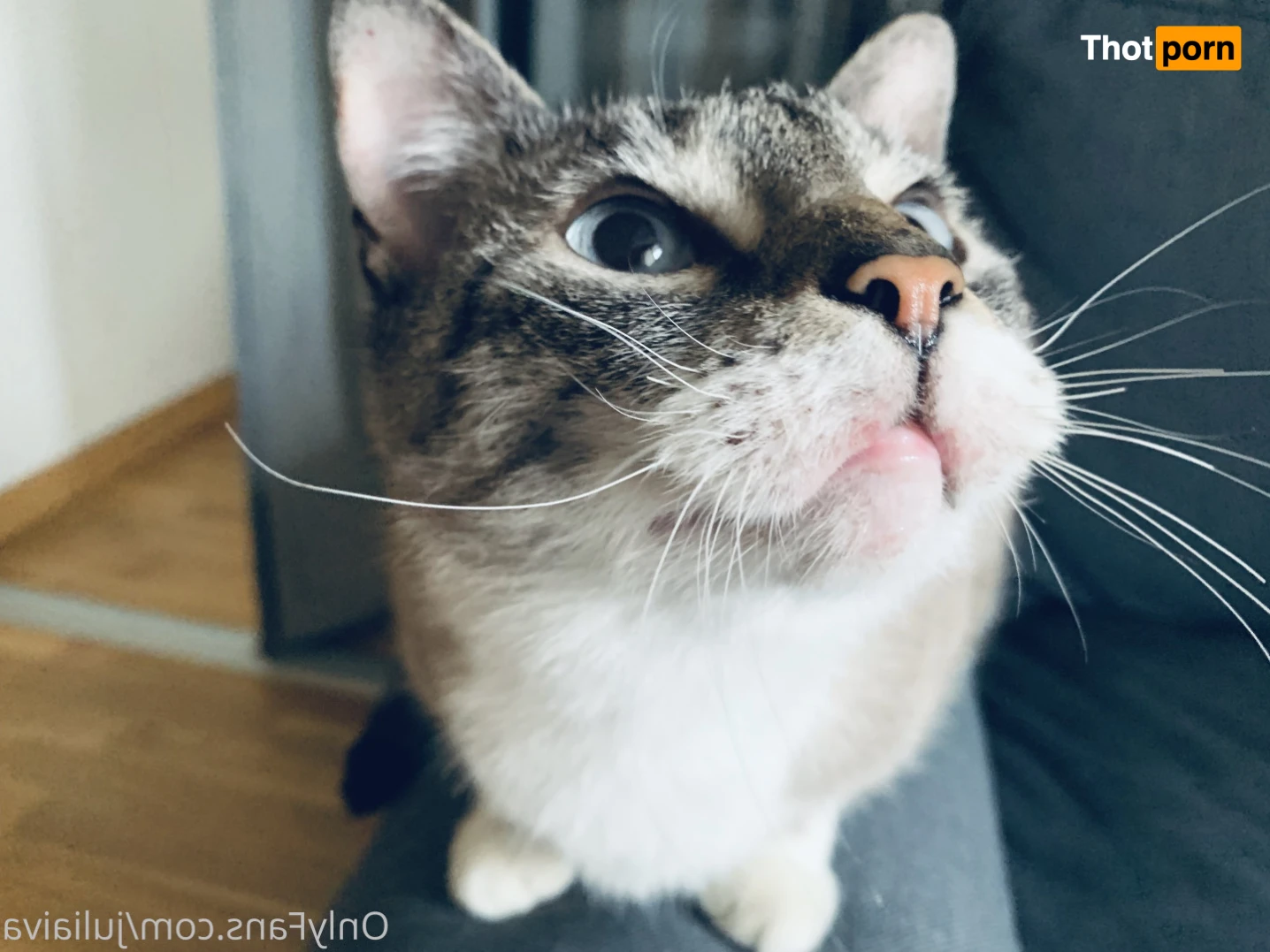 𝐉👅𝐋𝐄𝐒 𝐁𝐎𝐍𝐃 14504367