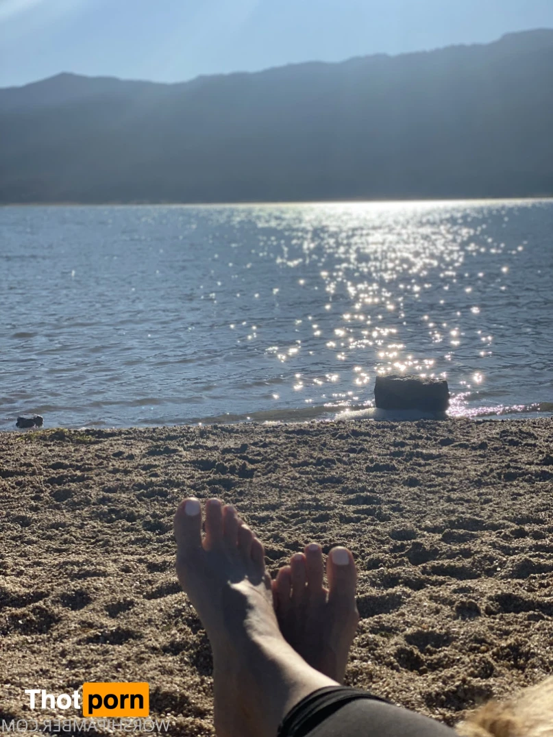 Princess Amber 16061445