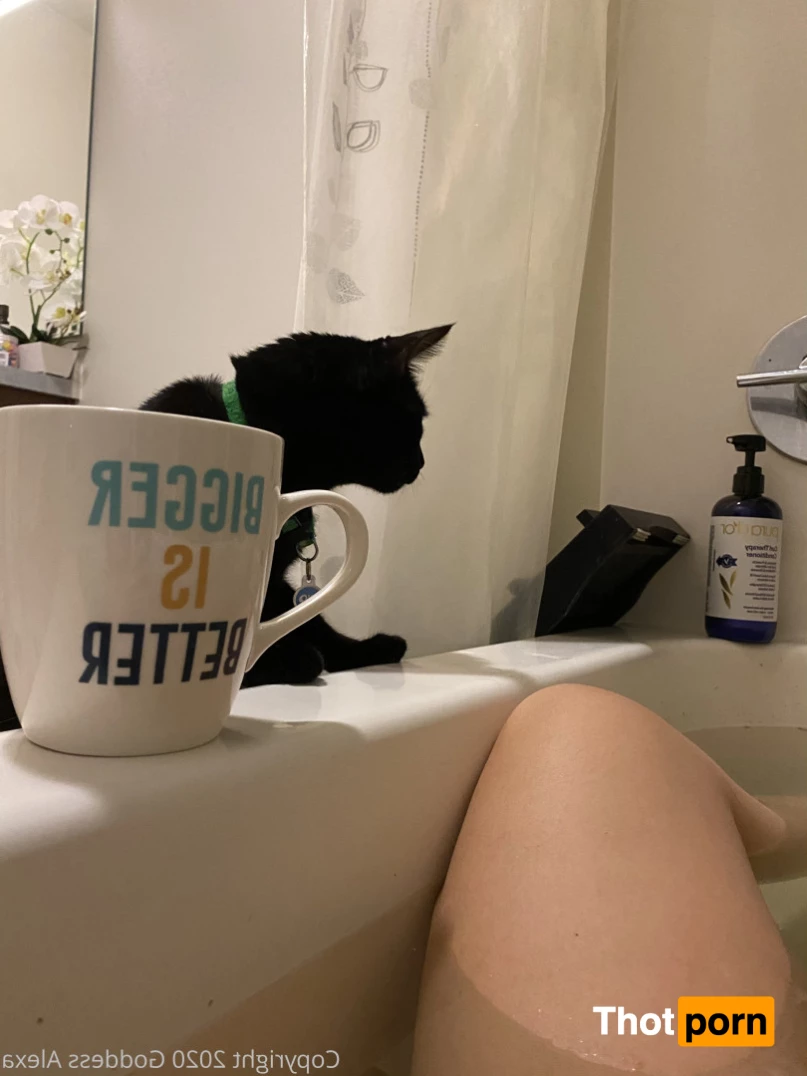 Serina Leone 8969353