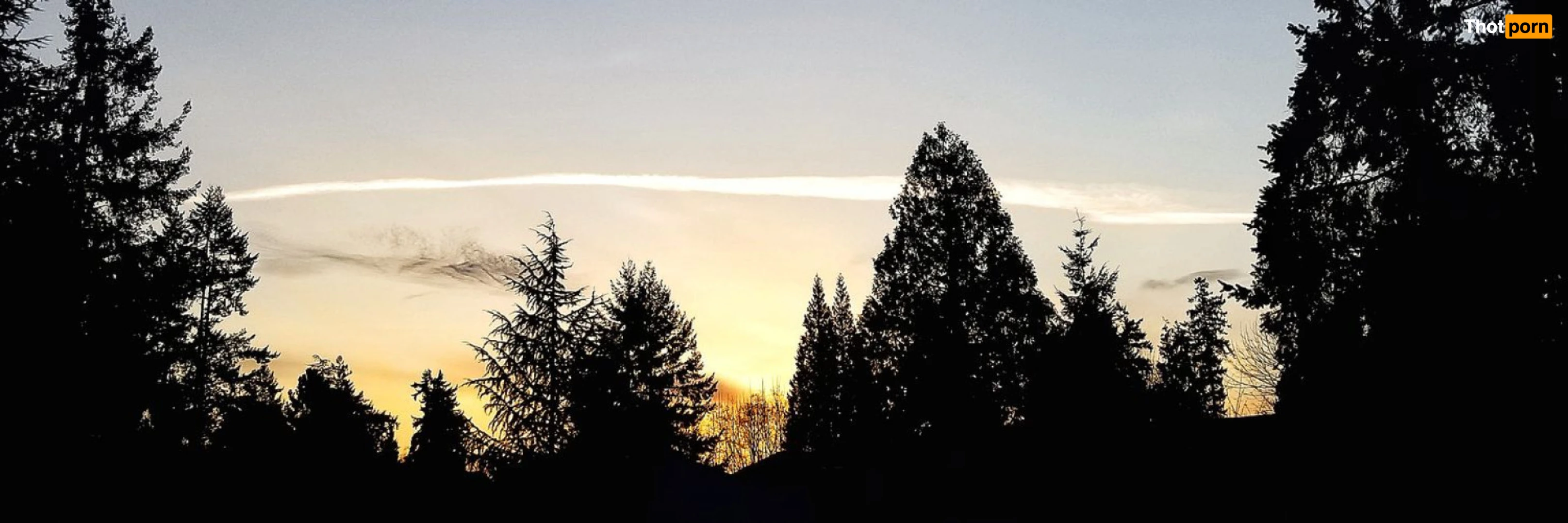 🌿~Olive~🌿 (analgirlforever) 11971945