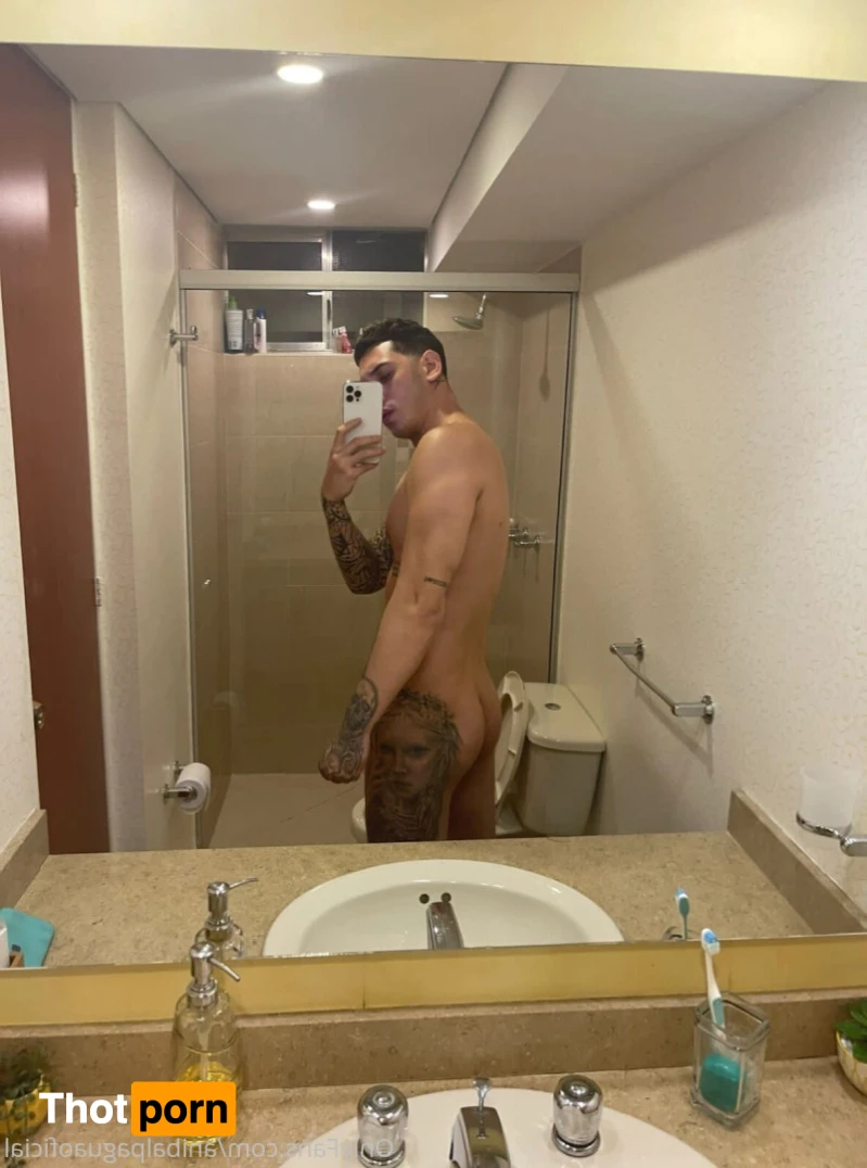 Anibal pagua 13896746