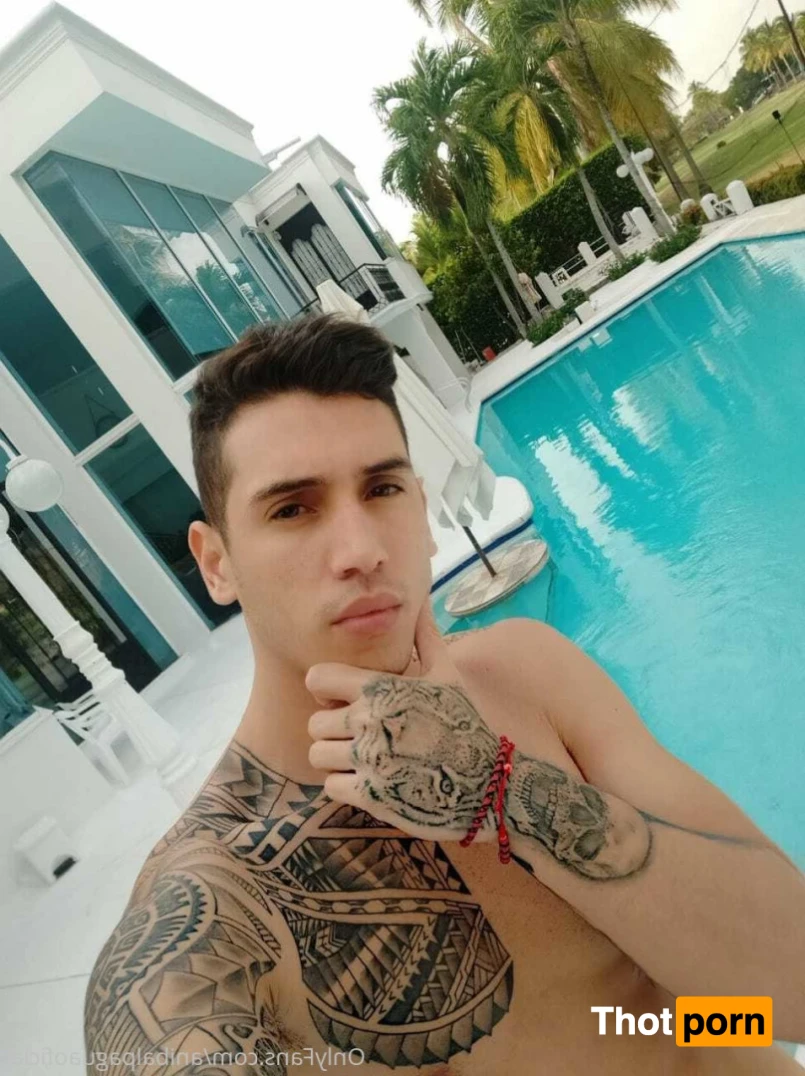 Anibal pagua 13896858