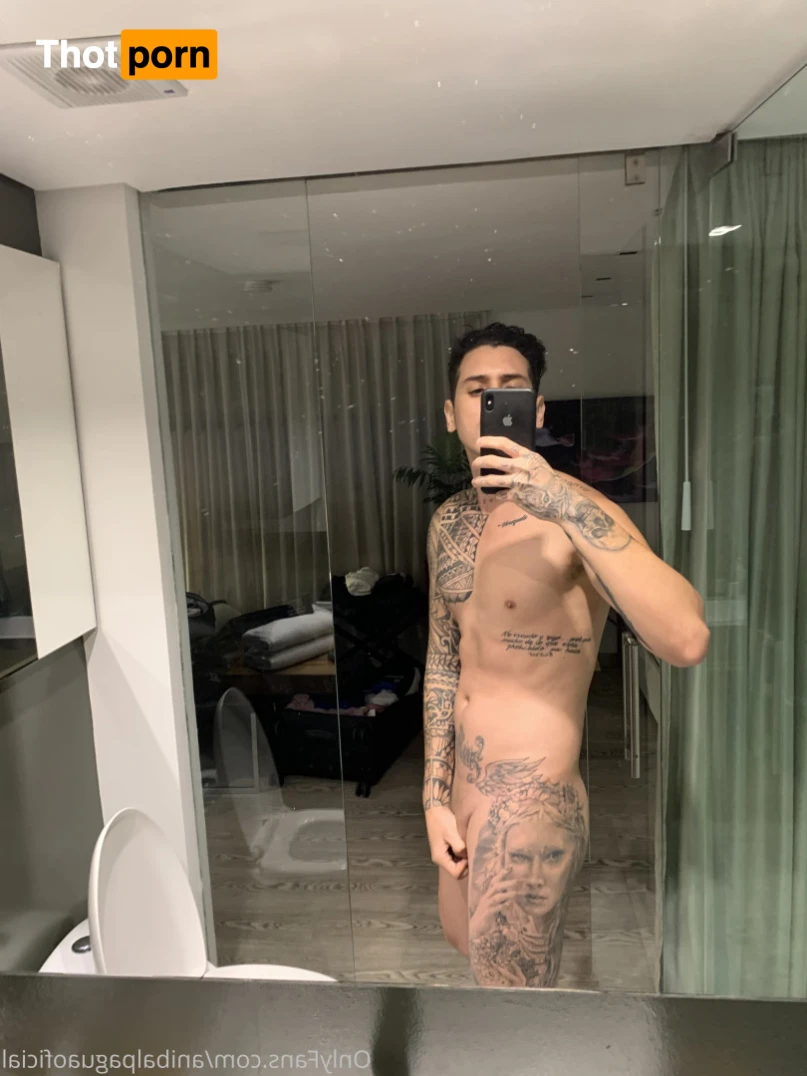 Anibal pagua 13896932