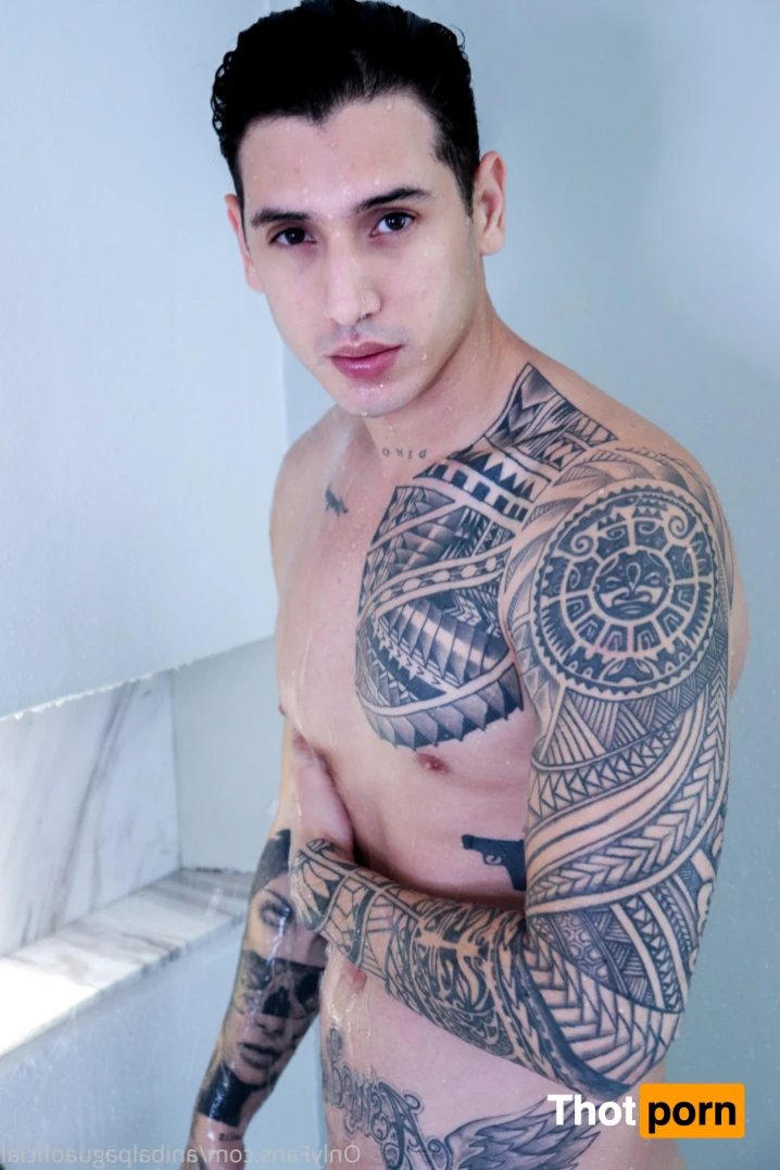 Anibal pagua 13896987