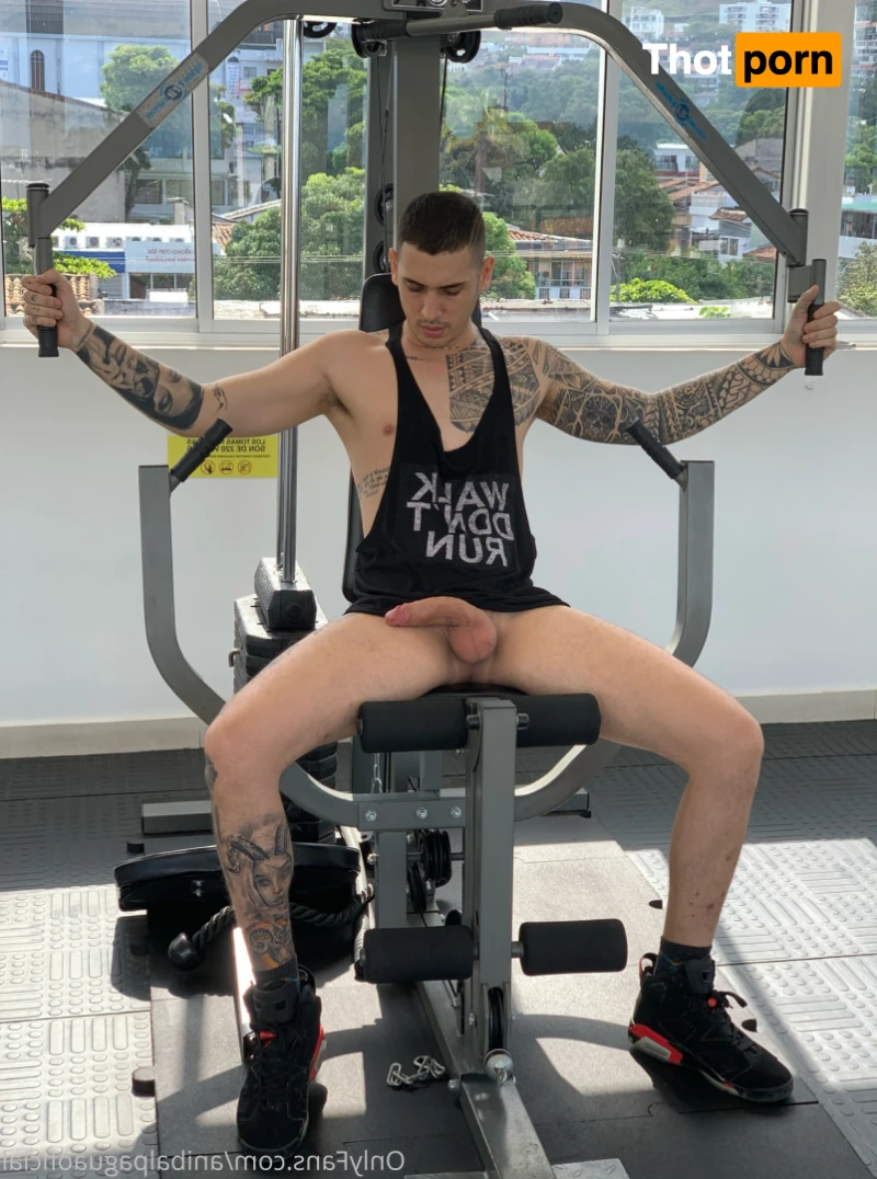 Anibal pagua 13897090