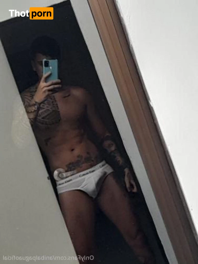 Anibal pagua 13897133