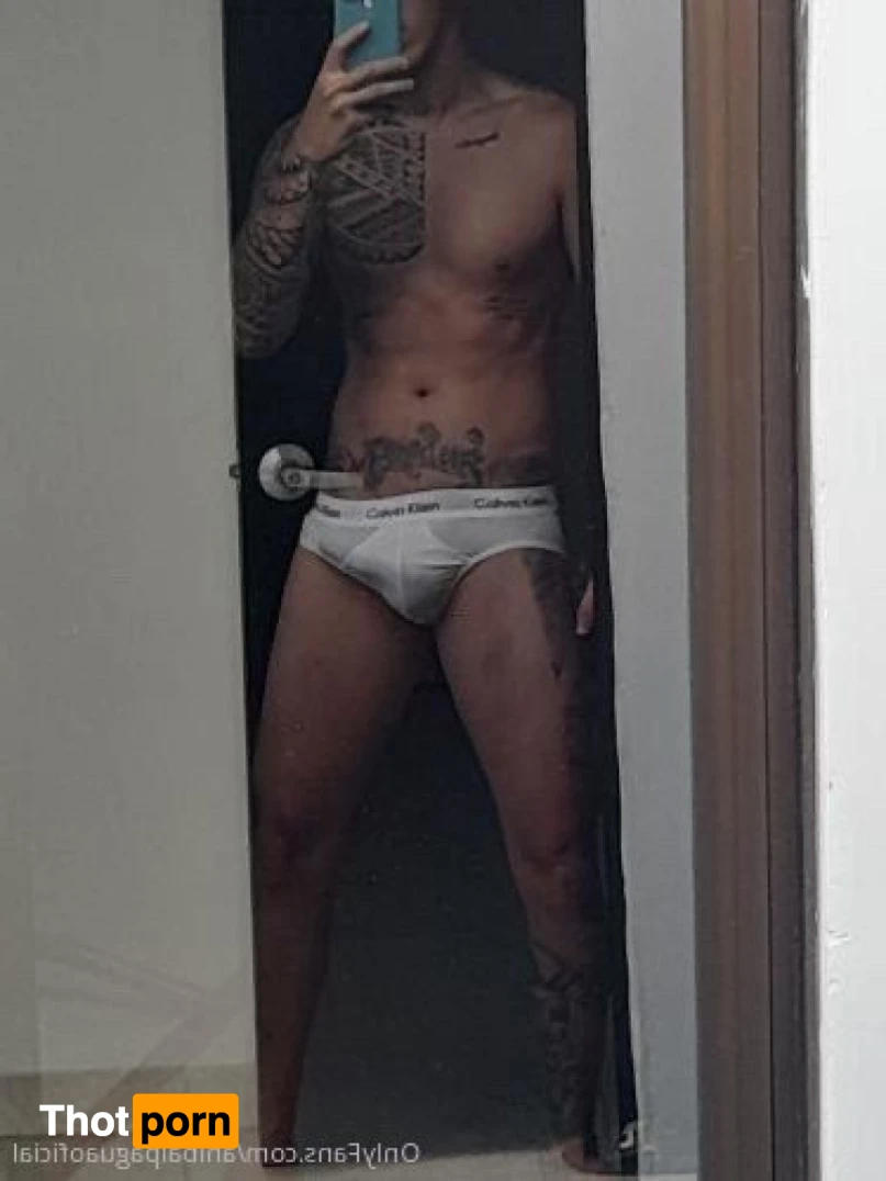 Anibal pagua 13897422