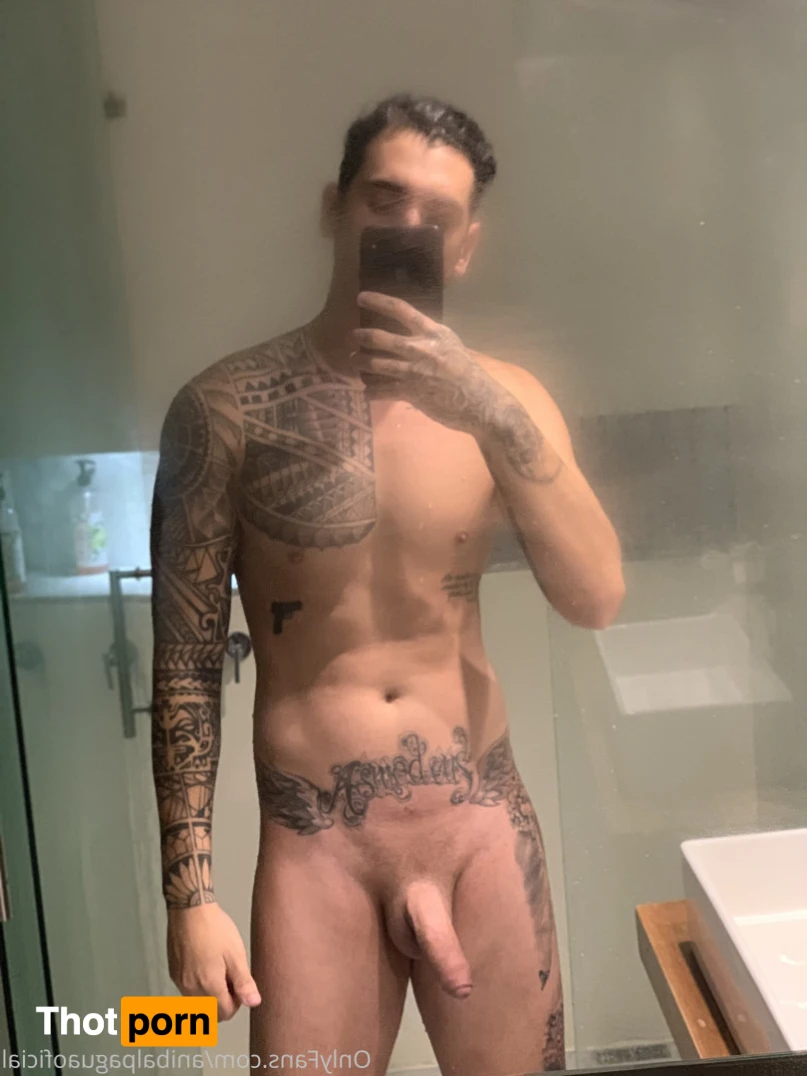 Anibal pagua 13897477