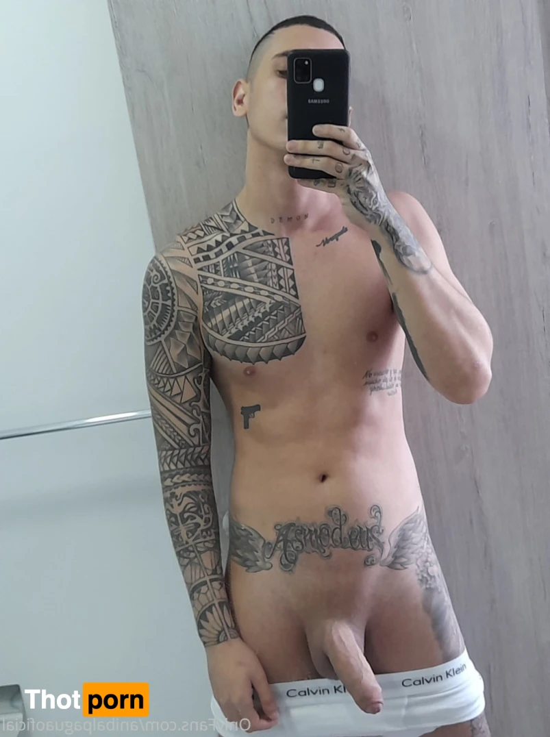 Anibal pagua 13897614