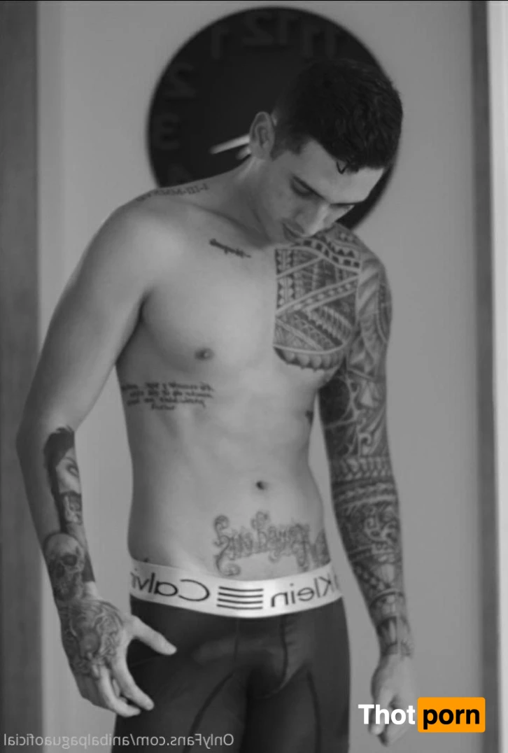 Anibal pagua 13897879