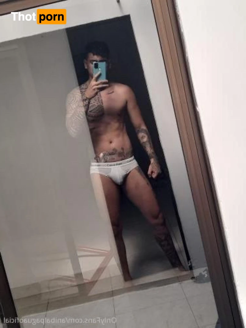 Anibal pagua 13897973