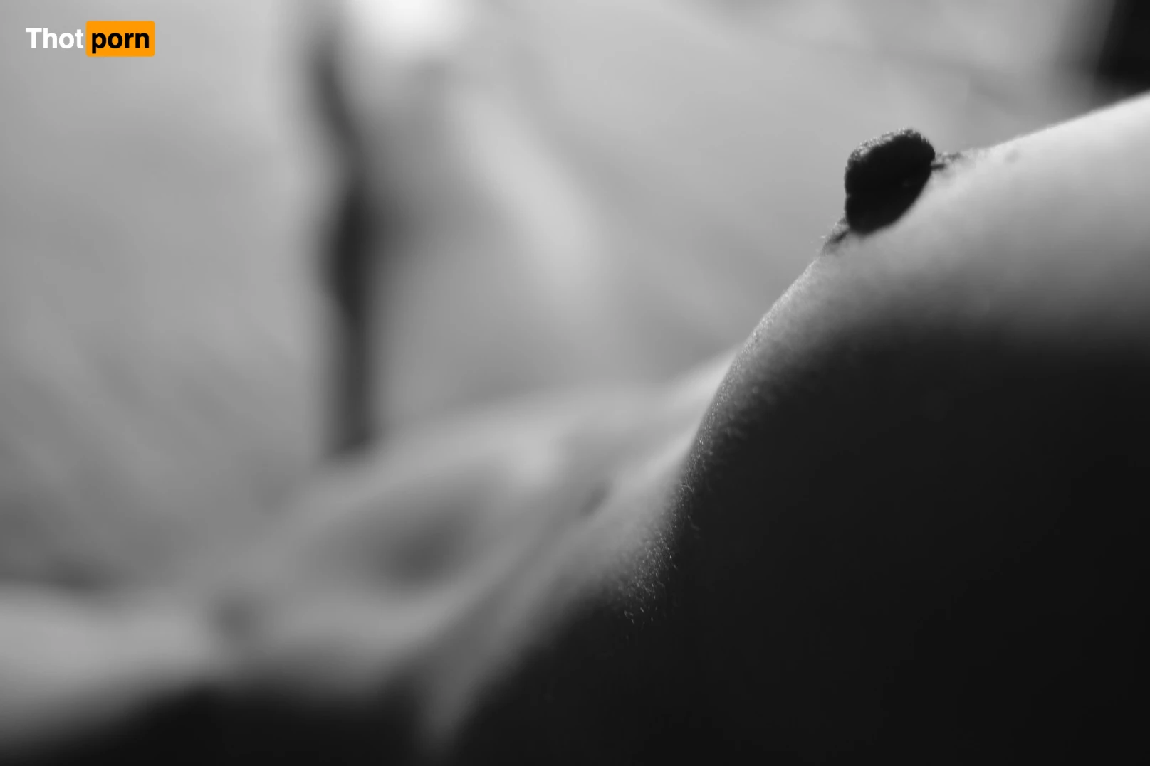 April Paisley OFFICIAL 8950020