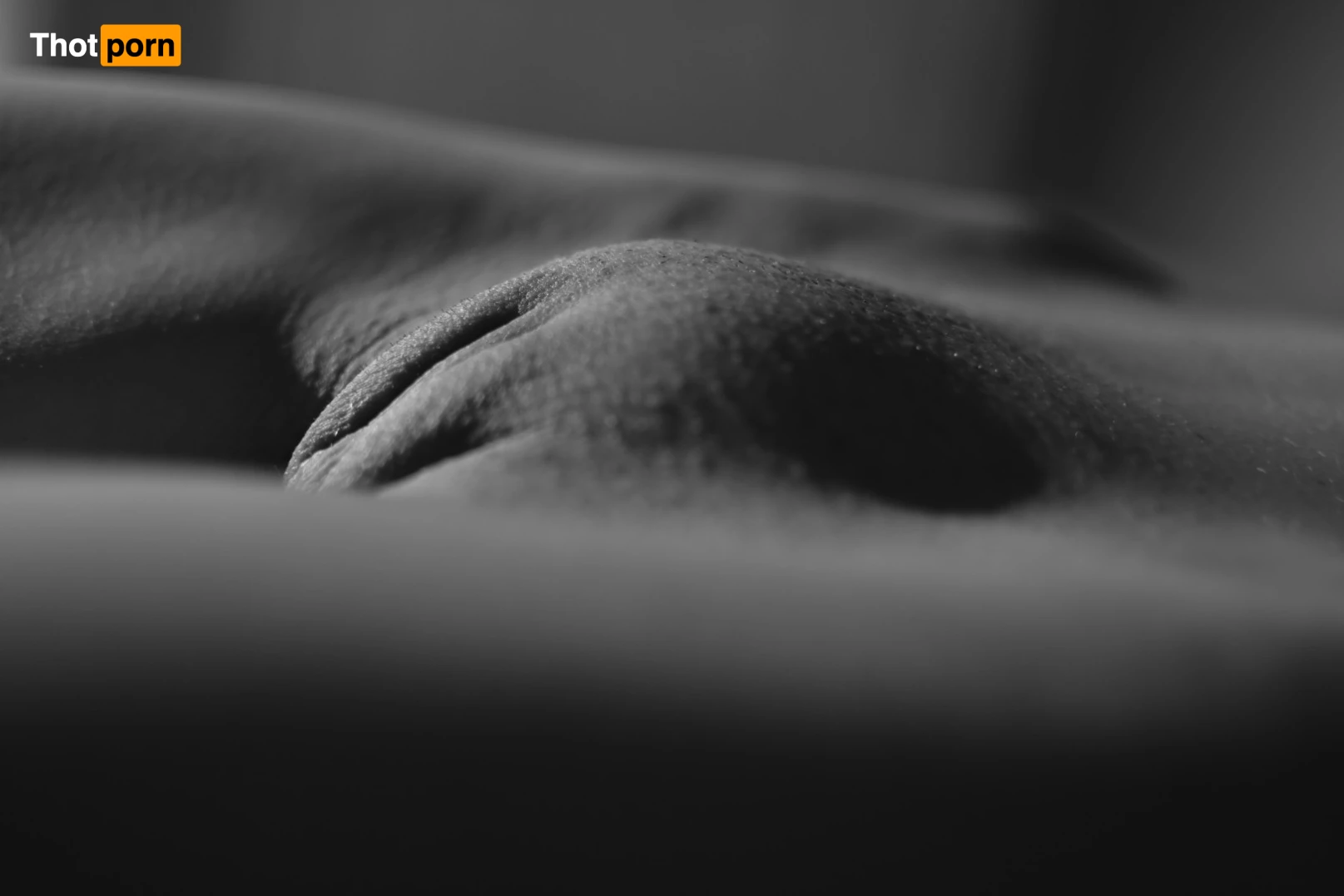 April Paisley OFFICIAL 8950800