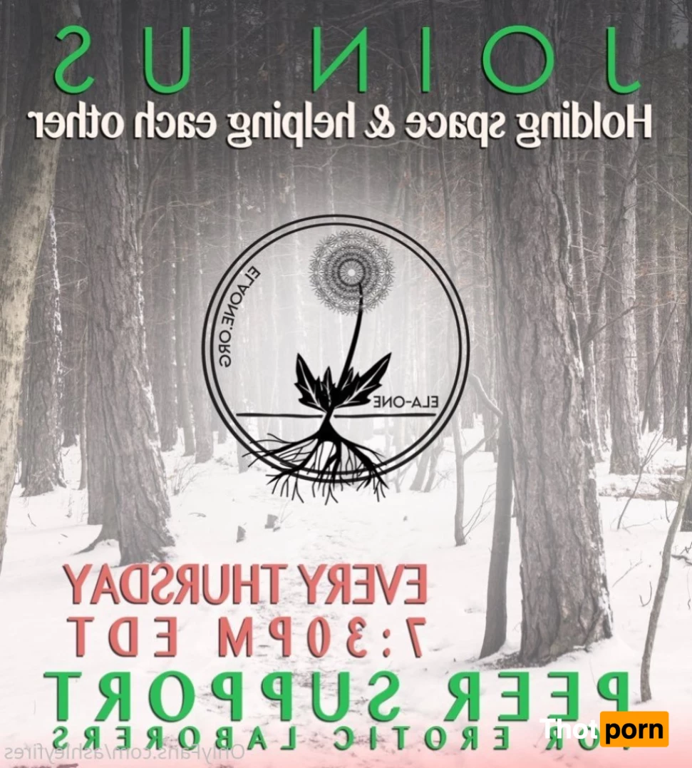 Ashley Fires 8967287