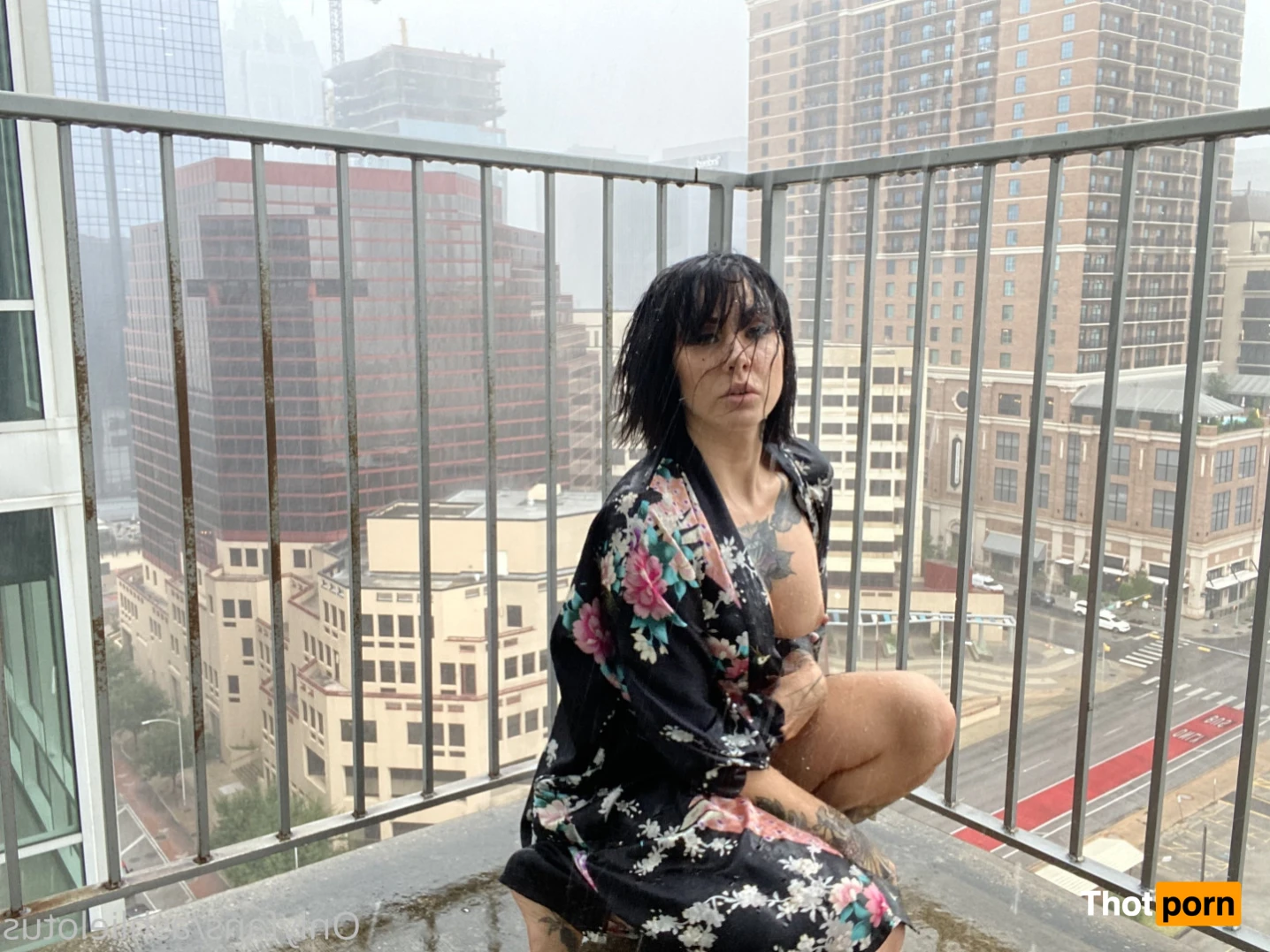 AshlieLotus VIP 14497274