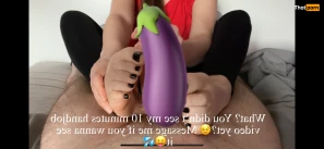 13683355