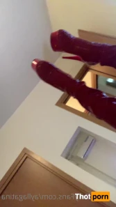 11300404