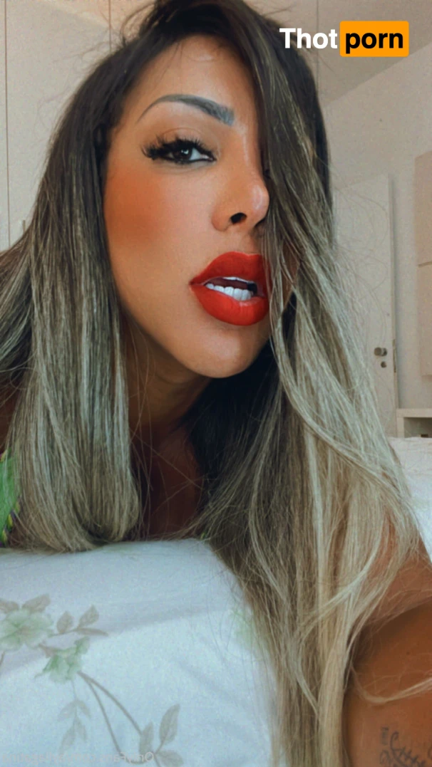 Aylla Gattina TS 12239563