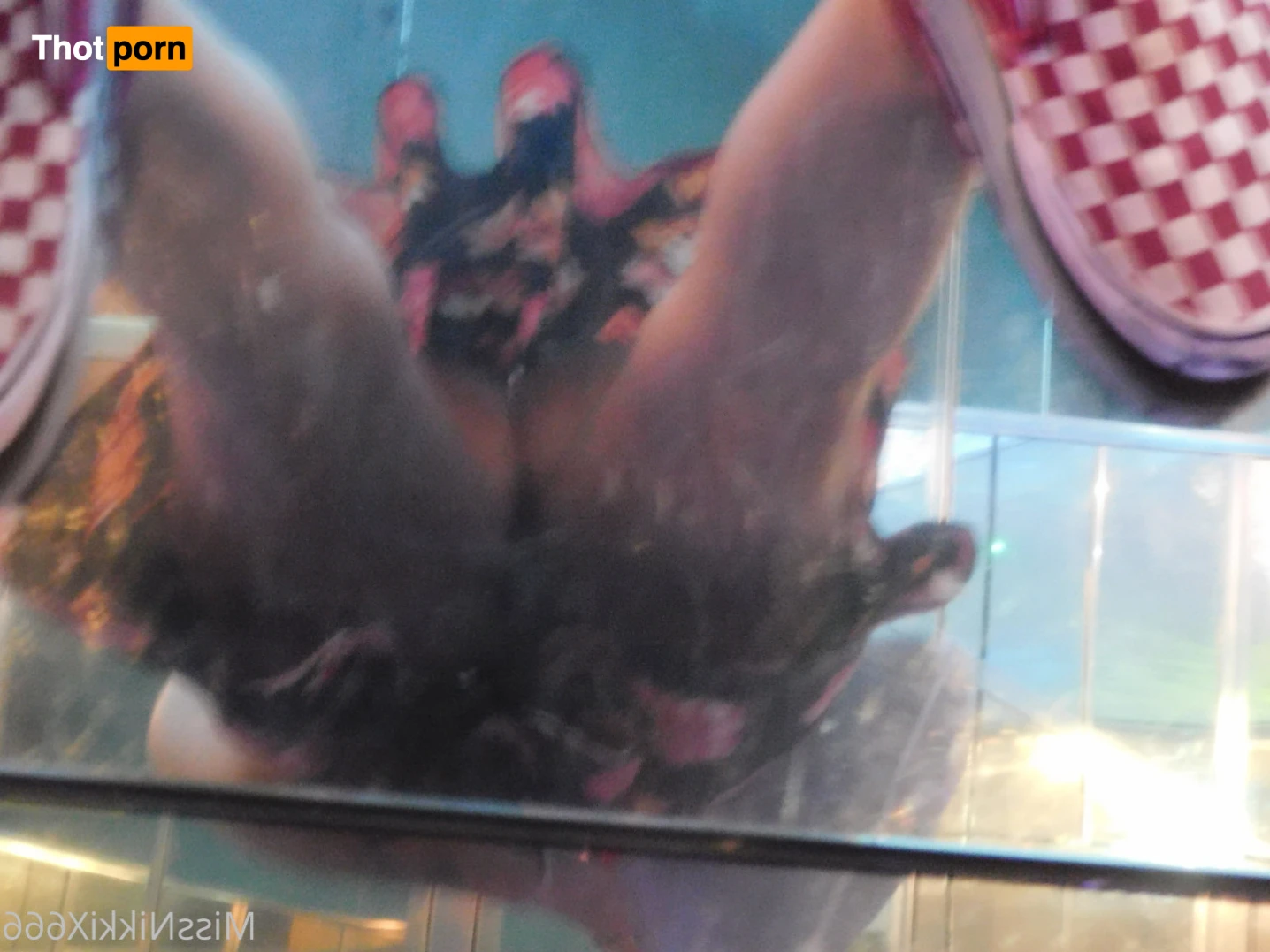 MissNikkiX666 14329942