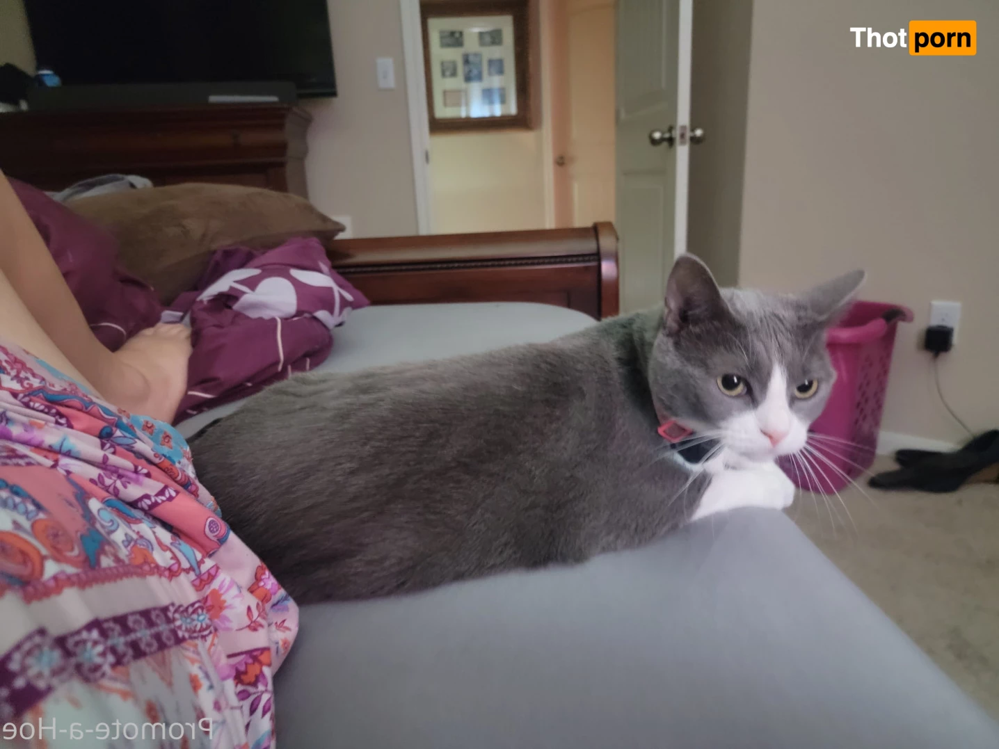 Promote-a-hoe 9027624