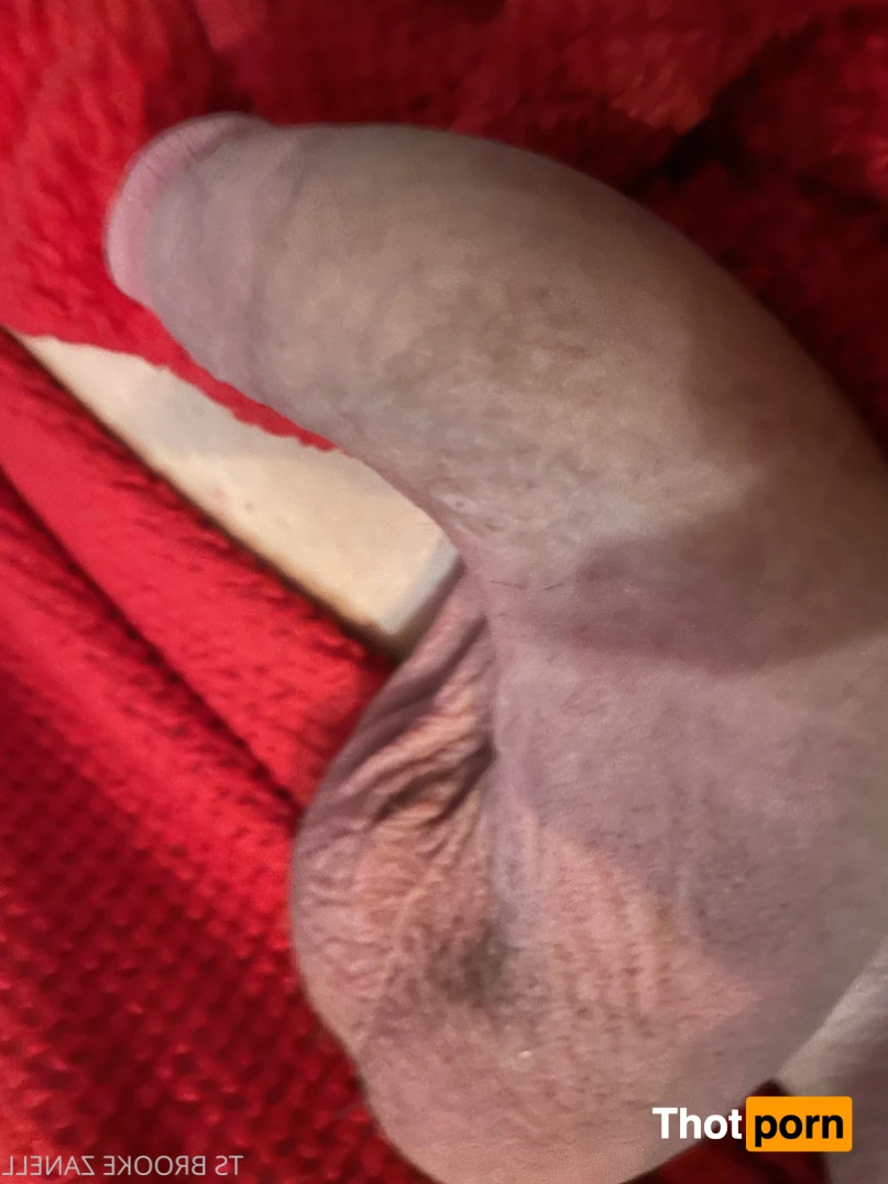 Brooke Zanell 12359619