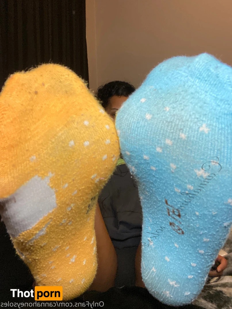 Canna Honey 13197878