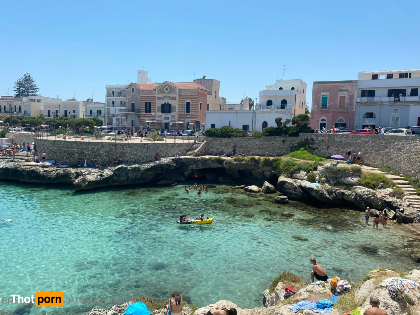 🌸Doctor Iena🐅 13170939