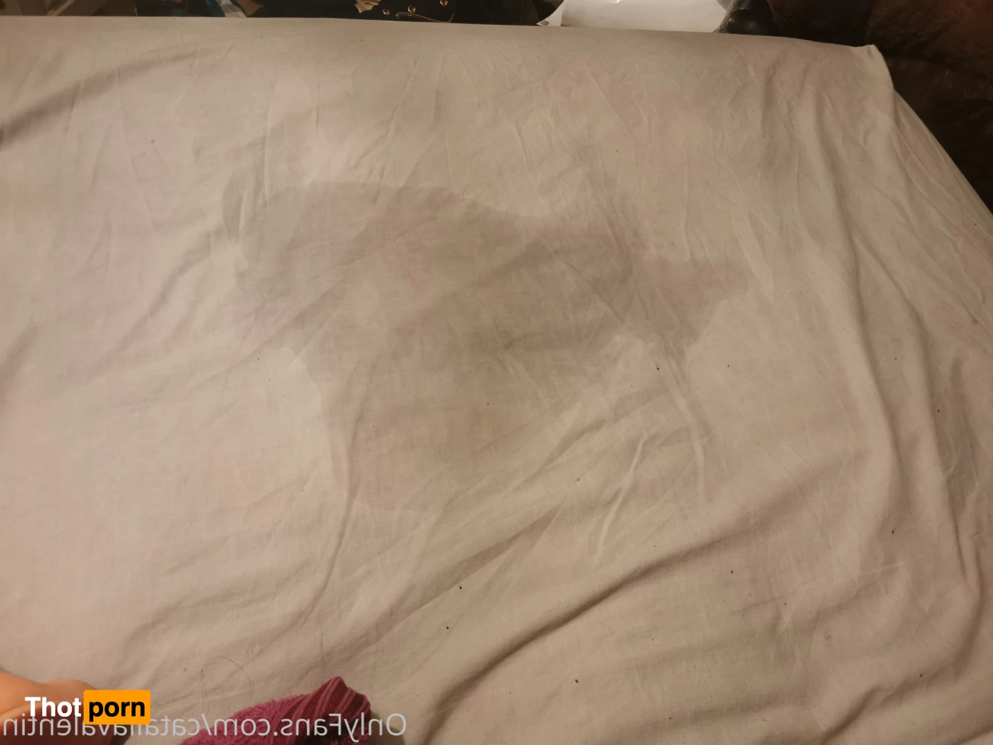 Catalia Valentine 13082627