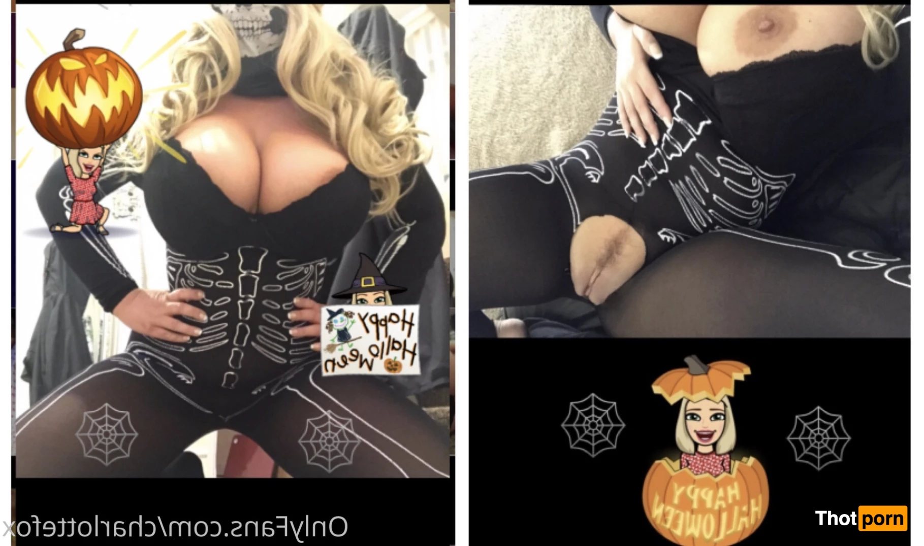 Charlotte Fox 8807925