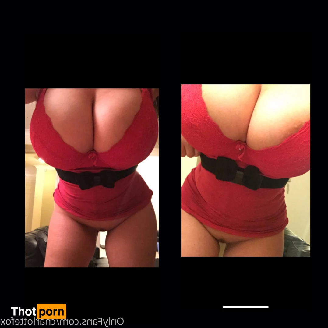 Charlotte Fox 8807988