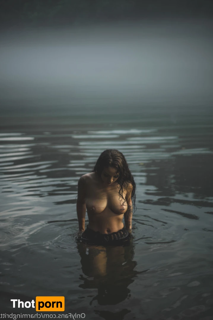 The Charmer 12802869