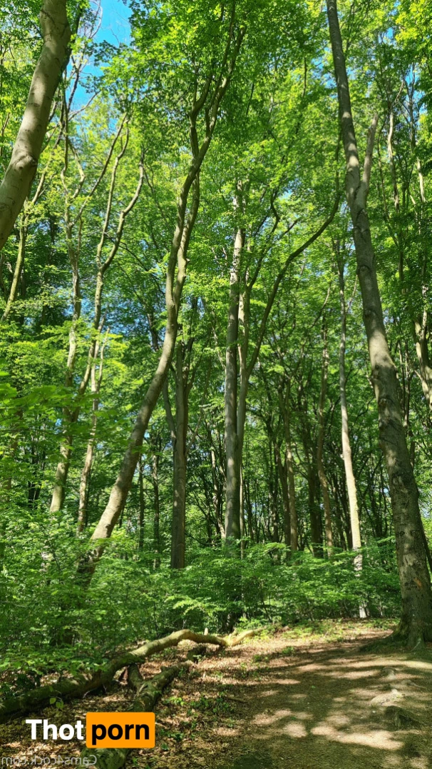 cherryflowerxxx 8964695