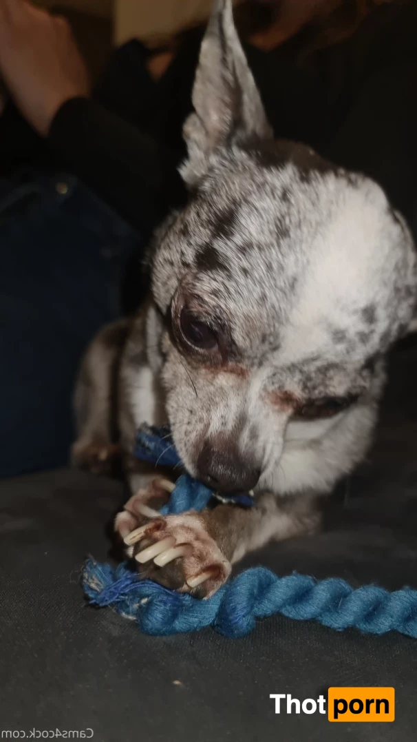 cherryflowerxxx 8964857