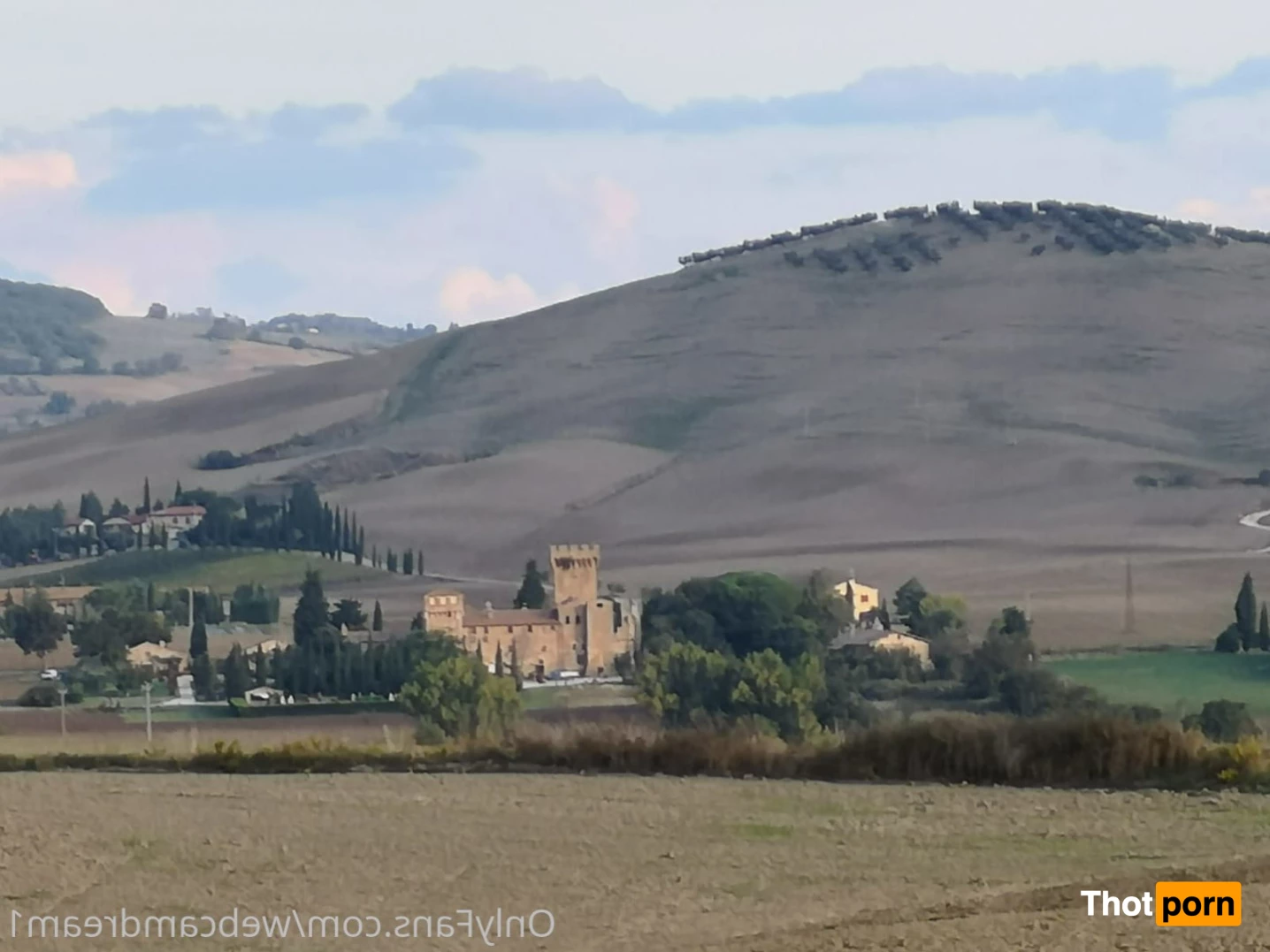 cherryflowerxxx 8965071